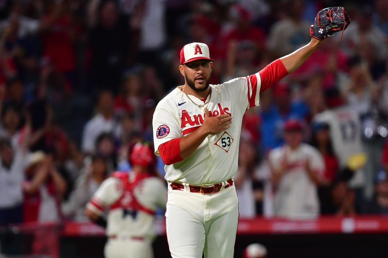 Aug 18, 2023; Anaheim, California, USA; Los Angeles Angels relief pitcher Carlos Estevez (53) reacts after catcher Logan O'Hoppe (14) tags out Tampa Bay Rays first baseman Yandy Diaz (2) at home during the ninth inning at Angel Stadium. Mandatory Credit: Gary A. Vasquez-USA TODAY Sports