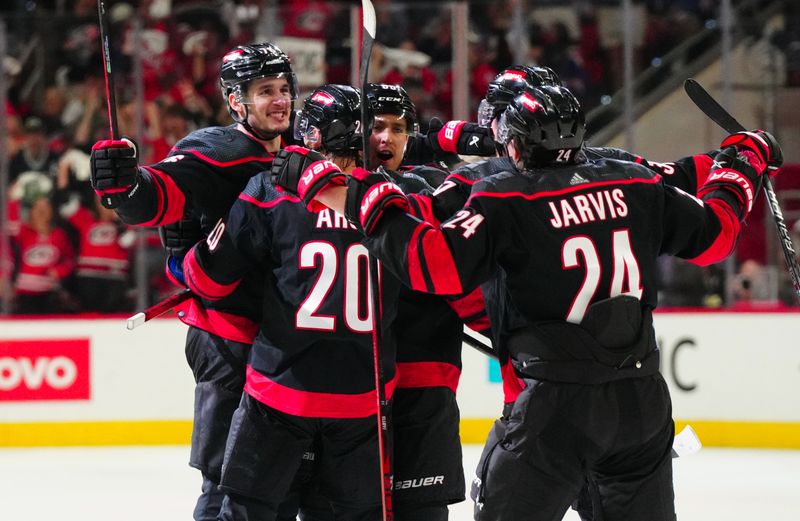 May 11, 2024; Raleigh, North Carolina, USA; Carolina Hurricanes defenseman Brady Skjei (76) celebrates with teammates after scoring a goal against the New York Rangers during the third period in game four of the second round of the 2024 Stanley Cup Playoffs at PNC Arena. Mandatory Credit: James Guillory-USA TODAY Sports