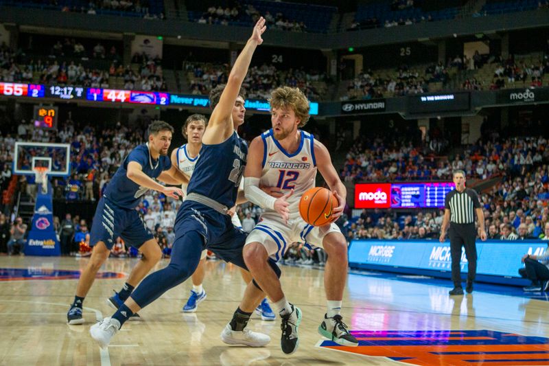 Jan 17, 2023; Boise, Idaho, USA; Boise State Broncos guard Max Rice (12) drives during the second half against the Nevada Wolf Pack at ExtraMile Arena. Boise State defeats Nevada 77-62. Mandatory Credit: Brian Losness-USA TODAY Sports

