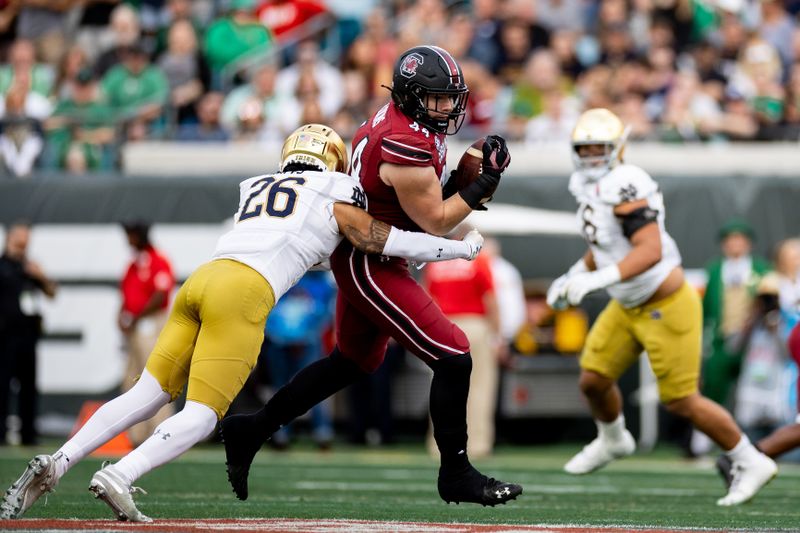 Dec 30, 2022; Jacksonville, FL, USA; South Carolina Gamecocks tight end Nate Adkins (44) runs with the ball after a catch during the first half against the Notre Dame Fighting Irish in the 2022 Gator Bowl at TIAA Bank Field. Mandatory Credit: Matt Pendleton-USA TODAY Sports