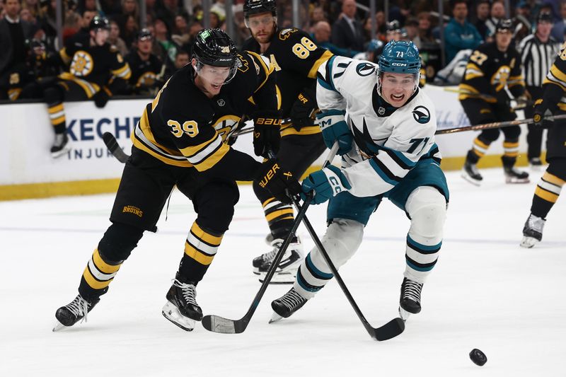 Mar 12, 2026; Boston, Massachusetts, USA; San Jose Sharks center Macklin Celebrini (71) and Boston Bruins center Morgan Geekie (39) eye a loose puck during the second period at TD Garden. Mandatory Credit: Winslow Townson-Imagn Images