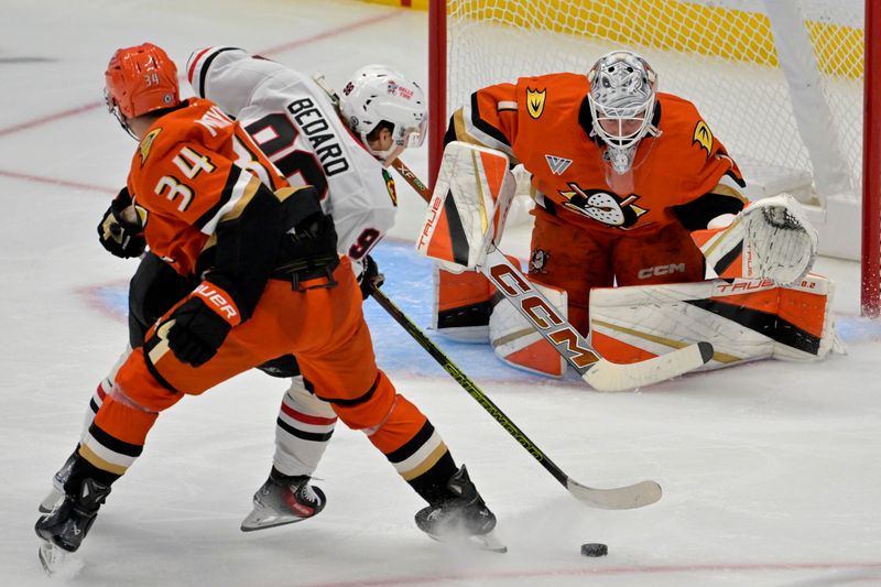 Nov 3, 2024; Anaheim, California, USA;  Anaheim Ducks goaltender Lukas Dostal (1) gets set as defenseman Pavel Mintyukov (34) defends Chicago Blackhawks center Connor Bedard (98) from shooting the puck in the second period at Honda Center. Mandatory Credit: Jayne Kamin-Oncea-Imagn Images