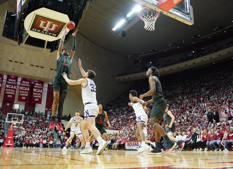 Feb 18, 2024; Bloomington, Indiana, USA;  Indiana Hoosiers center Kel'el Ware (1) rebounds the ball against Northwestern Wildcats forward Luke Hunger (33) during the second half at Simon Skjodt Assembly Hall. Mandatory Credit: Robert Goddin-USA TODAY Sports