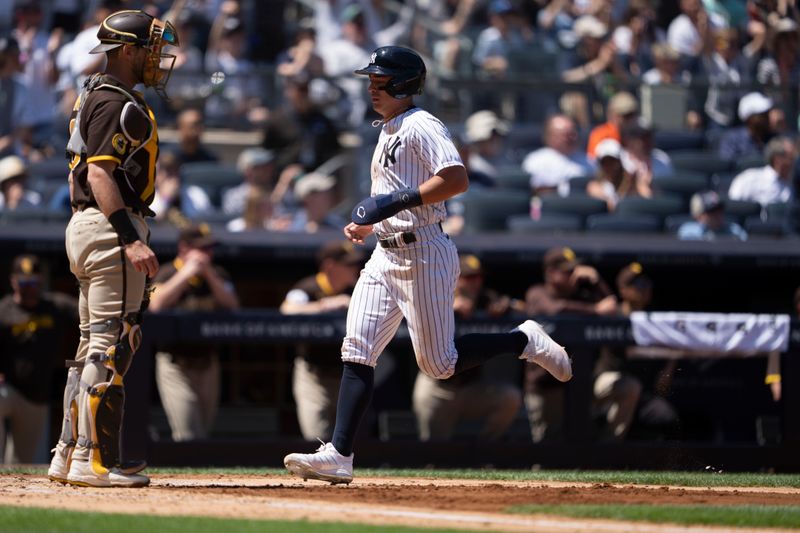 May 28, 2023; Bronx, New York, USA; New York Yankees shortstop Anthony Volpe (11) scores a run on New York Yankees right fielder Aaron Judge (99) (not pictured) RBI single against the San Diego Padres during the third inning at Yankee Stadium. Mandatory Credit: Gregory Fisher-USA TODAY Sports