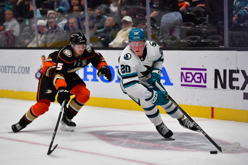 Jan 31, 2024; Anaheim, California, USA; San Jose Sharks left wing Fabian Zetterlund (20) moves the puck ahead of Anaheim Ducks defenseman Urho Vaakanainen (5) during the third period at Honda Center. Mandatory Credit: Gary A. Vasquez-USA TODAY Sports