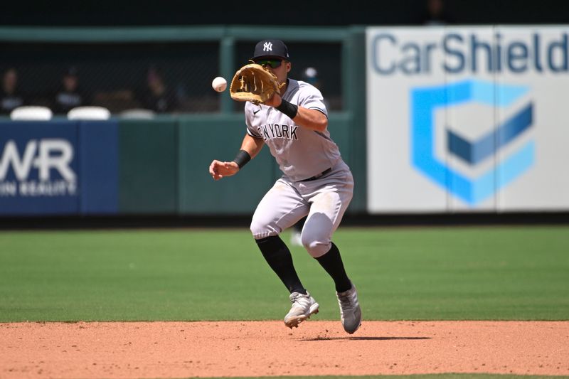 Jul 2, 2023; St. Louis, Missouri, USA; New York Yankees shortstop Anthony Volpe (11) fields a ground ball by the St. Louis Cardinals in the eighth inning at Busch Stadium. Mandatory Credit: Joe Puetz-USA TODAY Sports