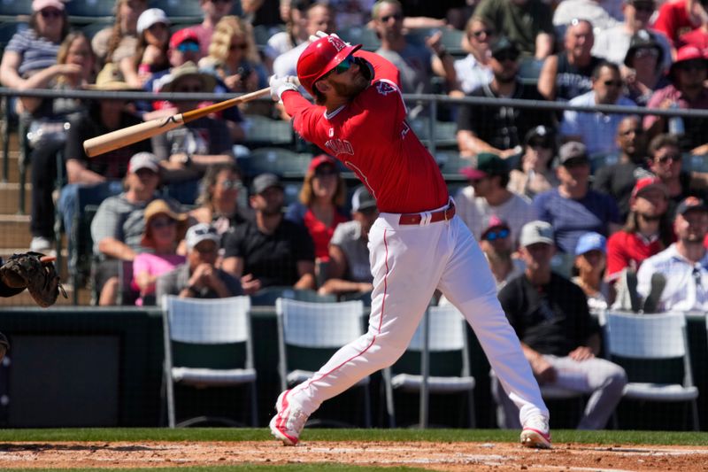 Mar 22, 2024; Tempe, Arizona, USA; Los Angeles Angels left fielder Taylor Ward (3) hits against the Chicago White Sox in the first inning at Tempe Diablo Stadium. Mandatory Credit: Rick Scuteri-USA TODAY Sports