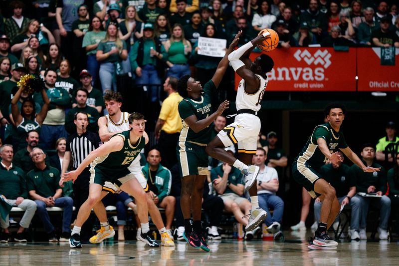 Mar 2, 2024; Fort Collins, Colorado, USA; Wyoming Cowboys guard Akuel Kot (13) attempts a shot under pressure from Colorado State Rams guard Isaiah Stevens (4) as forward Patrick Cartier (12) defends in the first half at Moby Arena. Mandatory Credit: Isaiah J. Downing-USA TODAY Sports