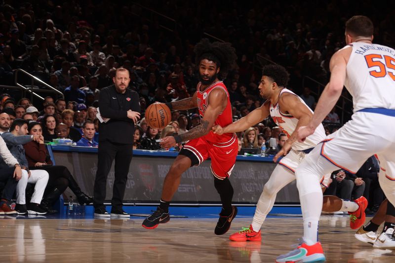 NEW YORK, NY - JANUARY 3: Coby White #0 of the Chicago Bulls drives to the basket during the game against the New York Knicks on January 3, 2024 at Madison Square Garden in New York City, New York.  NOTE TO USER: User expressly acknowledges and agrees that, by downloading and or using this photograph, User is consenting to the terms and conditions of the Getty Images License Agreement. Mandatory Copyright Notice: Copyright 2024 NBAE  (Photo by Nathaniel S. Butler/NBAE via Getty Images)