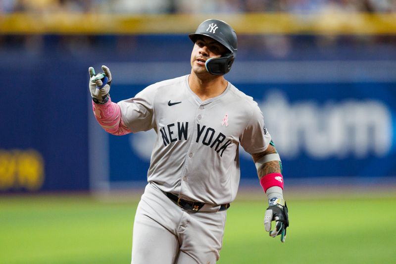 May 12, 2024; St. Petersburg, Florida, USA;  New York Yankees second baseman Gleyber Torres (25) runs the bases after hitting a three run home run against the Tampa Bay Rays in the eighth inning at Tropicana Field. Mandatory Credit: Nathan Ray Seebeck-USA TODAY Sports