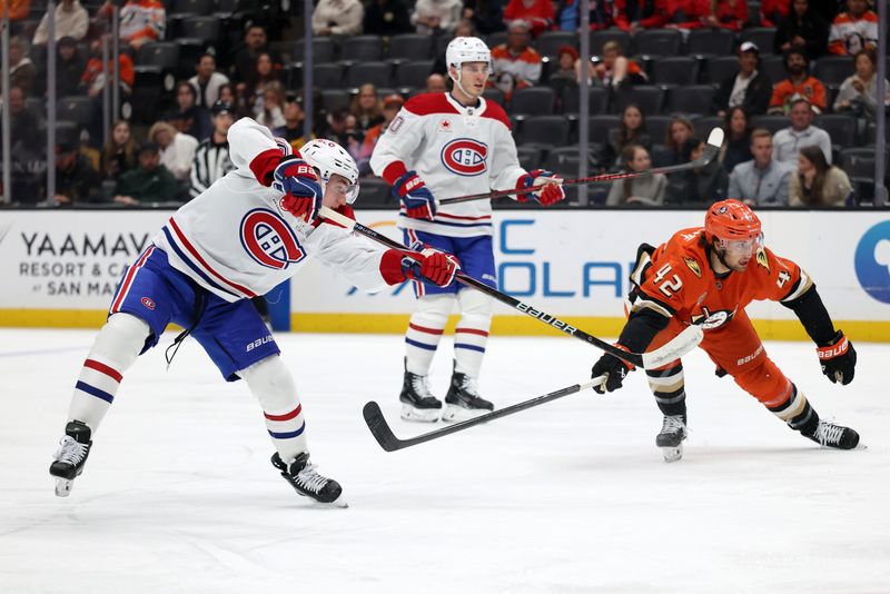 Montreal Canadiens vs Anaheim Ducks at Honda Center: did Cole Caufield force a shootout swing?