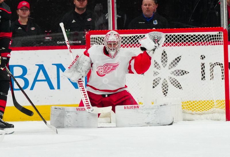 Jan 19, 2024; Raleigh, North Carolina, USA;  Detroit Red Wings goaltender Alex Lyon (34) reaches out to make a glove save against the Carolina Hurricanes during the second period at PNC Arena. Mandatory Credit: James Guillory-USA TODAY Sports