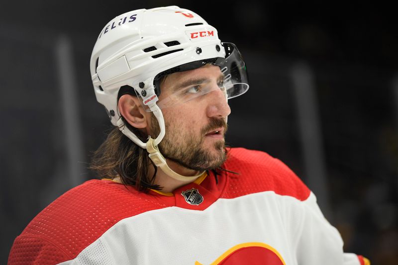 Feb 6, 2024; Boston, Massachusetts, USA; Calgary Flames defenseman Chris Tanev (8) during the third period against the Boston Bruins at TD Garden. Mandatory Credit: Bob DeChiara-USA TODAY Sports