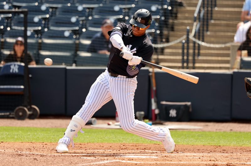 Mar 6, 2024; Tampa, Florida, USA;  New York Yankees left fielder Juan Soto (22) singles during the first inning against the Tampa Bay Rays at George M. Steinbrenner Field. Mandatory Credit: Kim Klement Neitzel-USA TODAY Sports