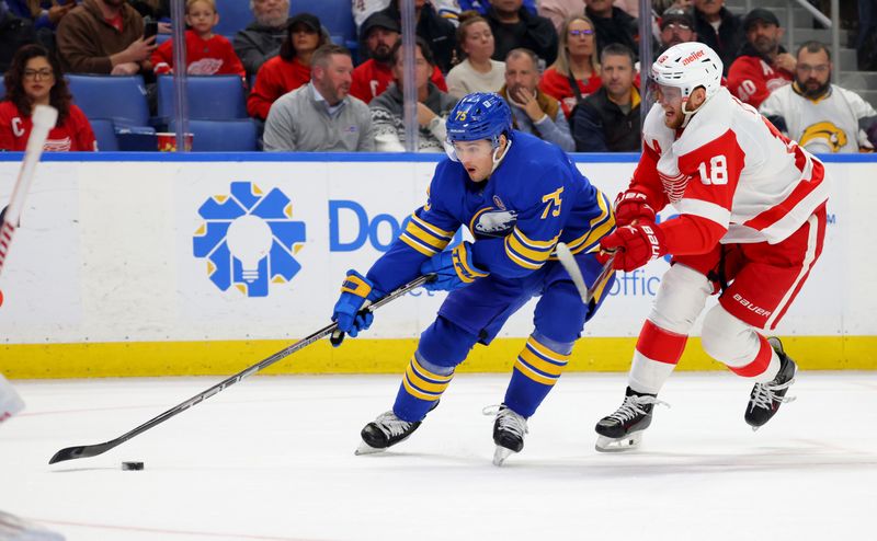 Dec 5, 2023; Buffalo, New York, USA;  Buffalo Sabres defenseman Connor Clifton (75) skates to the net with the puck as Detroit Red Wings center Andrew Copp (18) defends during the second period at KeyBank Center. Mandatory Credit: Timothy T. Ludwig-USA TODAY Sports