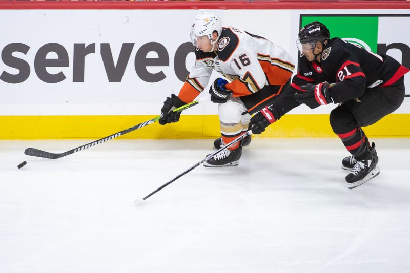 Feb 15, 2024; Ottawa, Ontario, CAN; Anaheim Ducks center Ryan Strome (16) and Ottawa Senators right wing Mathieu Joseph (21) chase the puck in the third period at the Canadian Tire Centre. Mandatory Credit: Marc DesRosiers-USA TODAY Sports