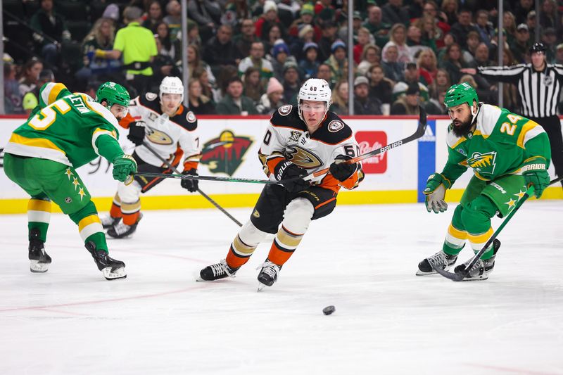 Jan 27, 2024; Saint Paul, Minnesota, USA; Anaheim Ducks defenseman Jackson LaCombe (60) skates with the puck as Minnesota Wild defenseman Zach Bogosian (24) and defenseman Jake Middleton (5) defend during the first period at Xcel Energy Center. Mandatory Credit: Matt Krohn-USA TODAY Sports