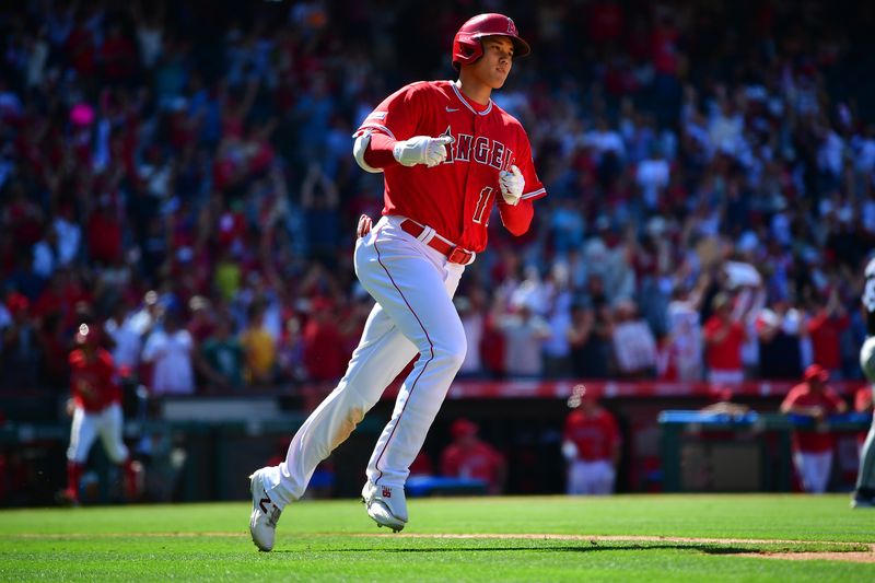 Jun 29, 2023; Anaheim, California, USA; Los Angeles Angels designated hitter Shohei Ohtani (17) reacts after hitting a two run home run against the Chicago White Sox during the ninth inning at Angel Stadium. Mandatory Credit: Gary A. Vasquez-USA TODAY Sports