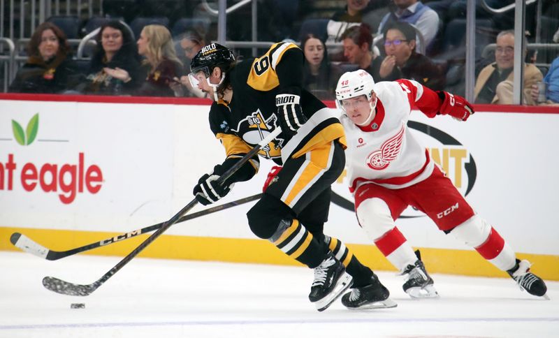 Nov 13, 2024; Pittsburgh, Pennsylvania, USA;  Pittsburgh Penguins defenseman Erik Karlsson (65) skates with the puck against Detroit Red Wings right wing Jonatan Berggren (48) during the second period at PPG Paints Arena. Mandatory Credit: Charles LeClaire-Imagn Images