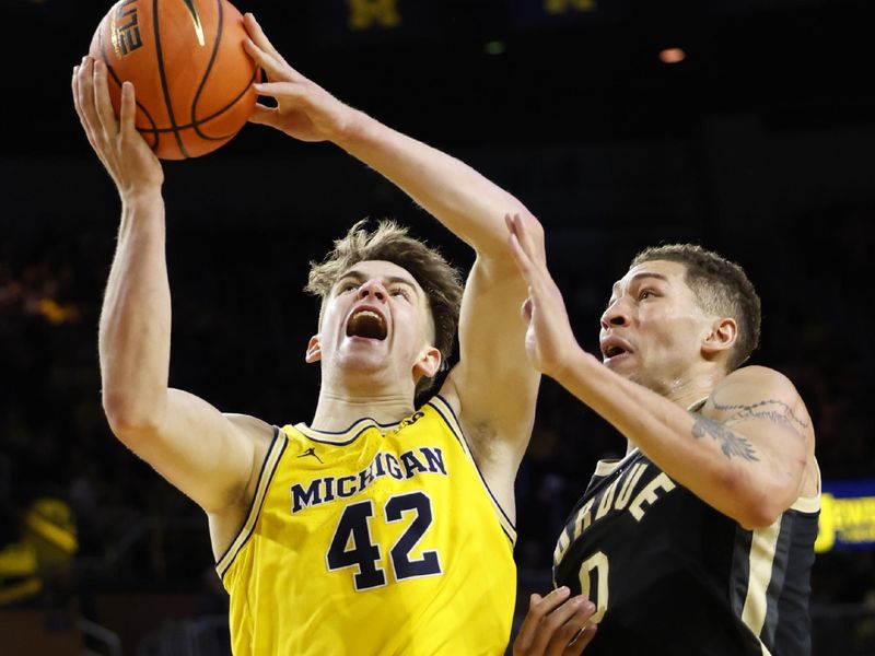 Feb 25, 2024; Ann Arbor, Michigan, USA; Michigan Wolverines forward Will Tschetter (42) shoots on Purdue Boilermakers forward Mason Gillis (0) in the first half  at Crisler Center. Mandatory Credit: Rick Osentoski-USA TODAY Sports