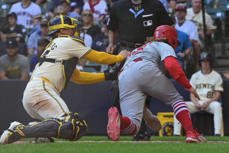 Sep 2, 2024; Milwaukee, Wisconsin, USA; Milwaukee Brewers catcher William Contreras (24) tags out St. Louis Cardinals second baseman Brendan Donovan (33) trying to steal home in the fourth inning at American Family Field. Mandatory Credit: Benny Sieu-USA TODAY Sports