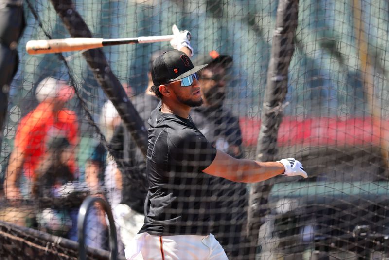 Jul 5, 2023; San Francisco, California, USA; San Francisco Giants outfielder Luis Matos (29) during batting practice before a game against the Seattle Mariners at Oracle Park. Mandatory Credit: Sergio Estrada-USA TODAY Sports