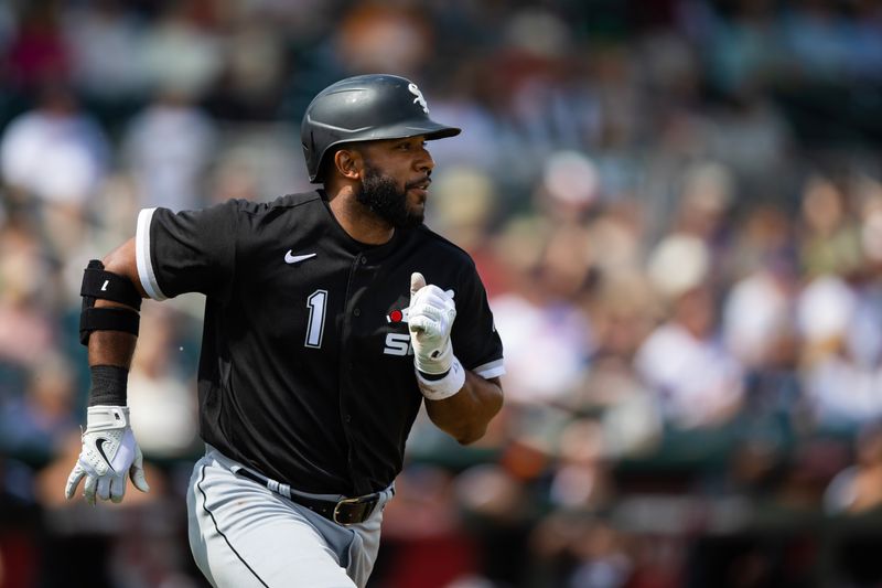 Mar 16, 2023; Goodyear, Arizona, USA; Chicago White Sox infielder Elvis Andrus against the Cleveland Guardians during a spring training game at Goodyear Ballpark. Mandatory Credit: Mark J. Rebilas-USA TODAY Sports
