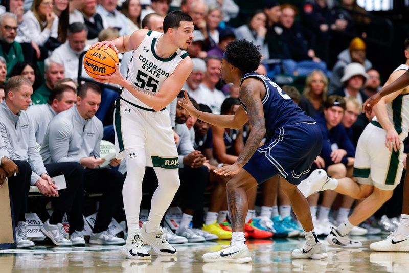 Jan 23, 2026; Fort Collins, Colorado, USA; Colorado State Rams forward Jevin Muniz (55) controls the ball as Utah State Aggies guard MJ Collins Jr. (2) guards in the first half at Moby Arena. Mandatory Credit: Isaiah J. Downing-Imagn Images