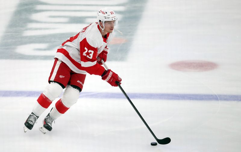 Nov 13, 2024; Pittsburgh, Pennsylvania, USA;  Detroit Red Wings left wing Lucas Raymond (23) warms up against the Pittsburgh Penguins at PPG Paints Arena. Mandatory Credit: Charles LeClaire-Imagn Images