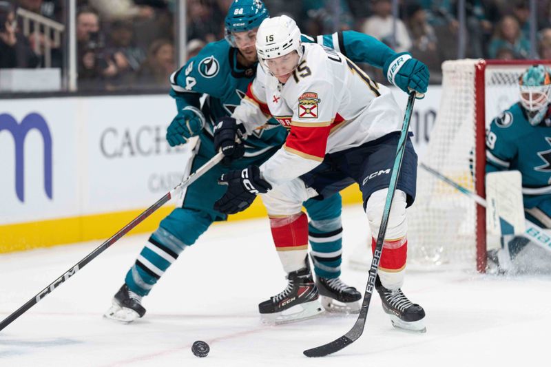 Nov 14, 2023; San Jose, California, USA; Florida Panthers center Anton Lundell (15) controls the puck away from San Jose Sharks defenseman Jan Rutta (84) during the third period at SAP Center at San Jose. Mandatory Credit: Stan Szeto-USA TODAY Sports