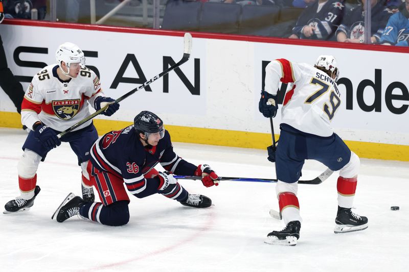 Jan 22, 2026; Winnipeg, Manitoba, CAN; Winnipeg Jets center Morgan Barron (36) and Florida Panthers center Cole Schwindt (79) scramble for the puck in the first period at Canada Life Centre. Mandatory Credit: James Carey Lauder-Imagn Images