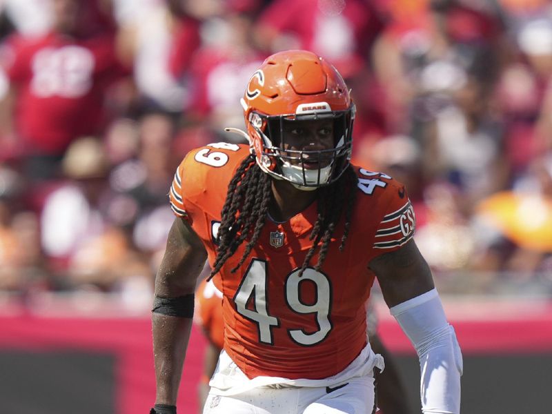 Chicago Bears linebacker Tremaine Edmunds (49) watches the passer as he defends off the line of scrimmage during an NFL football game against the Tampa Bay Buccaneers, Sunday, Sept. 17, 2023, in Tampa, Fla. (AP Photo/Peter Joneleit)