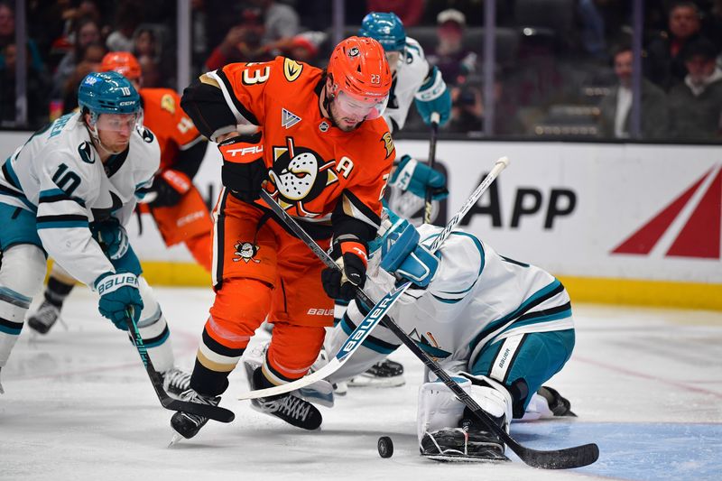 Did San Jose Sharks' Offense Outshine Anaheim Ducks at Honda Center?