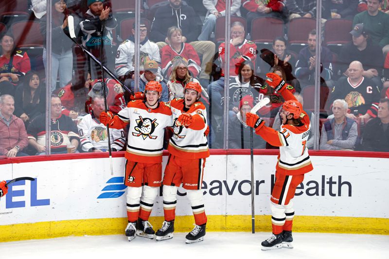 Nov 19, 2024; Chicago, Illinois, USA; Anaheim Ducks center Leo Carlsson (91) celebrates with teammates after scoring a goal against the Chicago Blackhawks during the third period at United Center. Mandatory Credit: Kamil Krzaczynski-Imagn Images