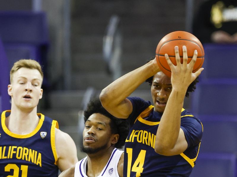 Jan 14, 2023; Seattle, Washington, USA; California Golden Bears forward Grant Newell (14) collects an offensive rebound against Washington Huskies forward Keion Brooks (1) during the first half at Alaska Airlines Arena at Hec Edmundson Pavilion. Mandatory Credit: Joe Nicholson-USA TODAY Sports