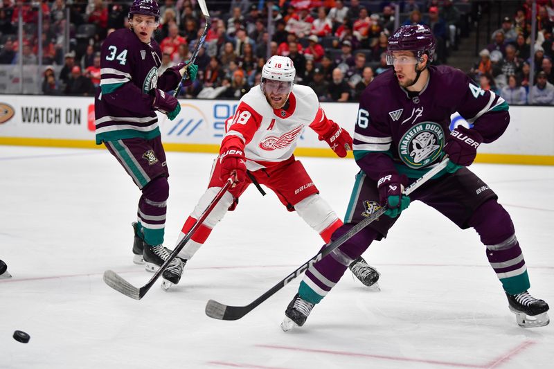 Jan 7, 2024; Anaheim, California, USA; Detroit Red Wings center Andrew Copp (18) plays for the puck against Anaheim Ducks defenseman Ilya Lyubushkin (46) during the first period at Honda Center. Mandatory Credit: Gary A. Vasquez-USA TODAY Sports