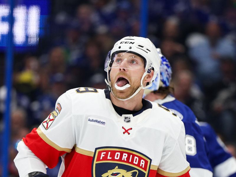 Apr 24, 2025; Tampa, Florida, USA; Florida Panthers center Sam Bennett (9) looks on against the Tampa Bay Lightning during the second period in game two of the first round of the 2025 Stanley Cup Playoffs at Amalie Arena. Mandatory Credit: Nathan Ray Seebeck-Imagn Images