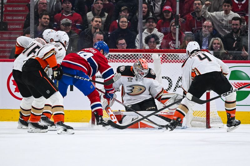 Feb 13, 2024; Montreal, Quebec, CAN; Anaheim Ducks goalie Lukas Dostal (1) makes a save against Montreal Canadiens center Nick Suzuki (14) during the first period at Bell Centre. Mandatory Credit: David Kirouac-USA TODAY Sports