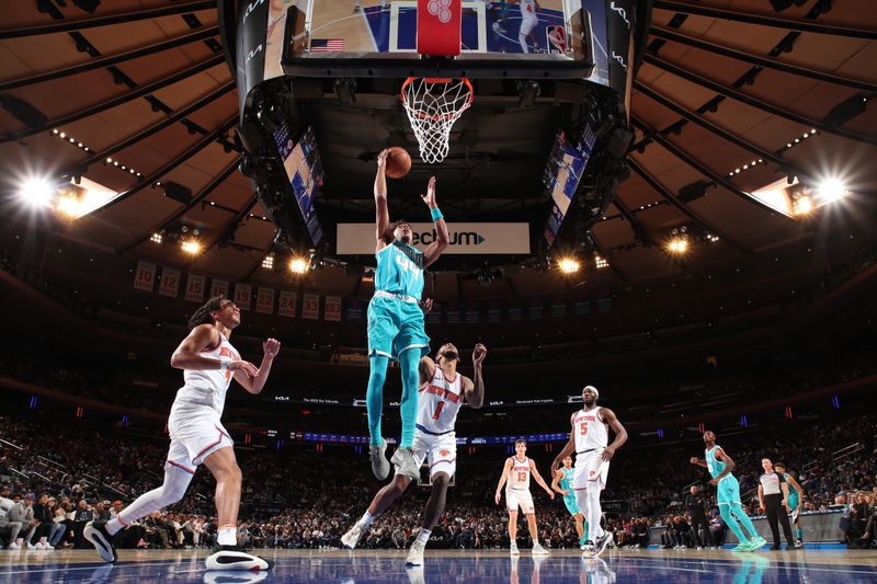 NEW YORK, NY - OCTOBER 15: Charlie Brown Jr. #44 of the Charlotte Hornets  drives to the basket during the game against the New York Knicks during the 2024 NBA Preseason on October 15, 2024 at Madison Square Garden in New York City, New York.  NOTE TO USER: User expressly acknowledges and agrees that, by downloading and or using this photograph, User is consenting to the terms and conditions of the Getty Images License Agreement. Mandatory Copyright Notice: Copyright 2024 NBAE  (Photo by Nathaniel S. Butler/NBAE via Getty Images)