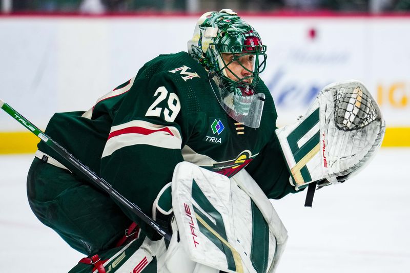 Jan 15, 2024; Saint Paul, Minnesota, USA; Minnesota Wild goaltender Marc-Andre Fleury (29) looks on during the first period against the New York Islanders at Xcel Energy Center. Mandatory Credit: Brace Hemmelgarn-USA TODAY Sports