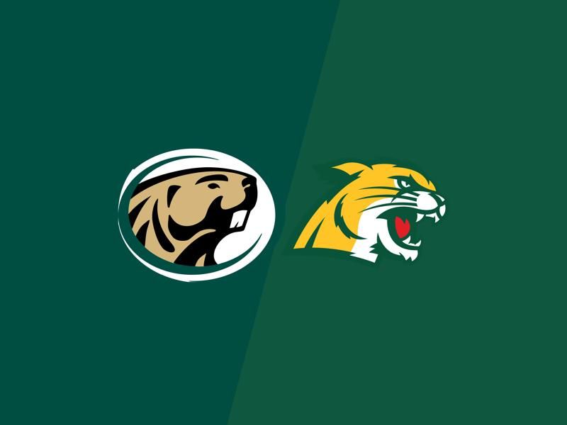 Bemidji State Beavers VS Northern Michigan Wildcats