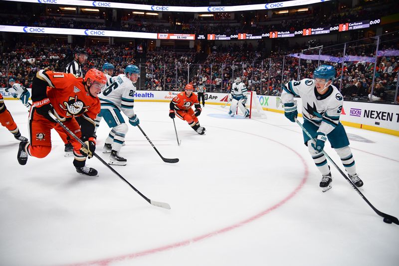 Oct 22, 2024; Anaheim, California, USA; San Jose Sharks defenseman Henry Thrun (3) moves the puck against Anaheim Ducks center Leo Carlsson (91)  during the second period at Honda Center. Mandatory Credit: Gary A. Vasquez-Imagn Images