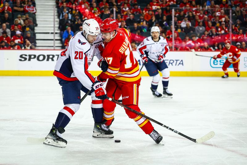 Jan 28, 2025; Calgary, Alberta, CAN; Washington Capitals center Lars Eller (20) and Calgary Flames center Yegor Sharangovich (17) battles for the puck during the second period at Scotiabank Saddledome. Mandatory Credit: Sergei Belski-Imagn Images