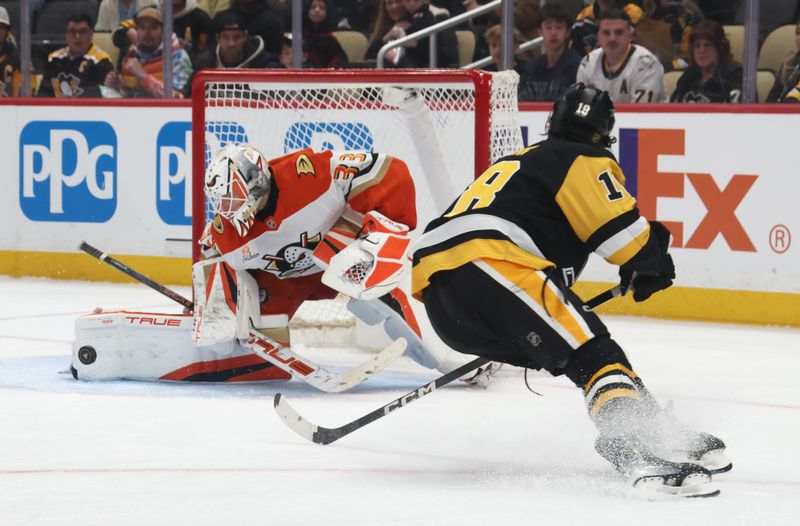 Dec 9, 2025; Pittsburgh, Pennsylvania, USA;  Anaheim Ducks goaltender Ville Husso (33) makes a save against Pittsburgh Penguins center Tommy Novak (18) during the third period at PPG Paints Arena. Mandatory Credit: Charles LeClaire-Imagn Images