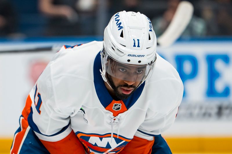 Jan 19, 2026; Vancouver, British Columbia, CAN; New York Islanders forward Anthony Duclair (11) waits for a faceoff against the Vancouver Canucks in the second period at Rogers Arena. Mandatory Credit: Bob Frid-Imagn Images