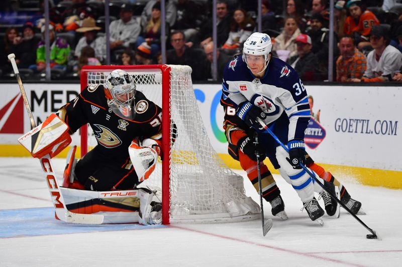 Jan 5, 2024; Anaheim, California, USA; Winnipeg Jets center Morgan Barron (36) moves the puck as Anaheim Ducks goaltender John Gibson (36) defends the goal during the third period at Honda Center. Mandatory Credit: Gary A. Vasquez-USA TODAY Sports