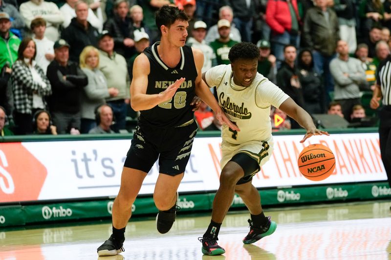 Feb 27, 2024; Fort Collins, Colorado, USA; Colorado State Rams guard Isaiah Stevens (4) battles with Nevada Wolf Pack guard Daniel Foster (20) during the second half at Moby Arena. Mandatory Credit: Michael Madrid-USA TODAY Sports