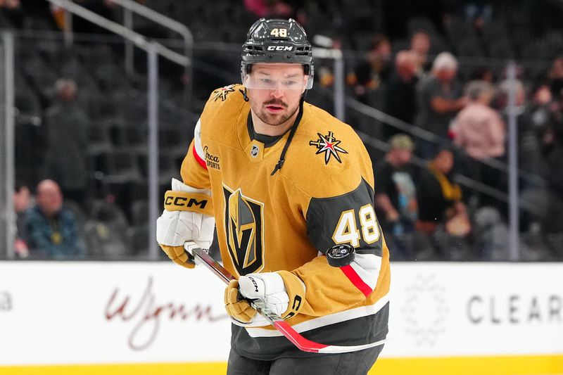 Nov 29, 2024; Las Vegas, Nevada, USA; Vegas Golden Knights center Tomas Hertl (48) warms up before a game against the Winnipeg Jets at T-Mobile Arena. Mandatory Credit: Stephen R. Sylvanie-Imagn Images