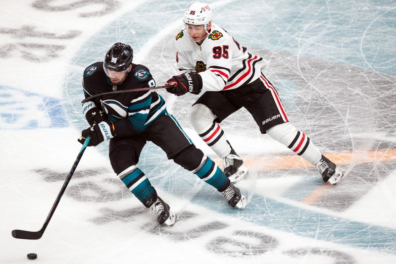 Oct 31, 2024; San Jose, California, USA; San Jose Sharks defenseman Jake Walman (96) controls the puck ahead of Chicago Blackhawks right winger Ilya Mikheyev (95) during the third period at SAP Center at San Jose. Mandatory Credit: D. Ross Cameron-Imagn Images