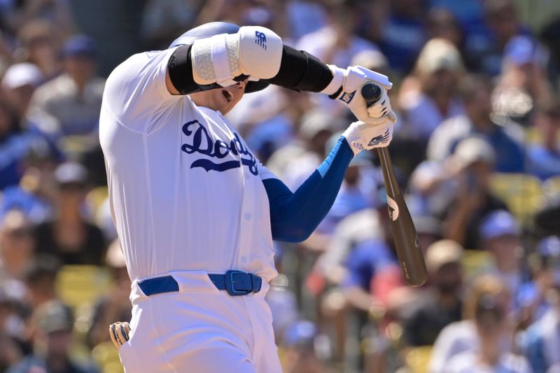 Aug 25, 2024; Los Angeles, California, USA;   Los Angeles Dodgers designated hitter Shohei Ohtani (17) reacts after he was hit by a pitch in the eighth inning against the Tampa Bay Rays at Dodger Stadium. Mandatory Credit: Jayne Kamin-Oncea-USA TODAY Sports